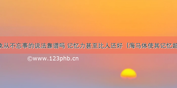 大象从不忘事的说法靠谱吗 记忆力甚至比人还好（海马体使其记忆超群）