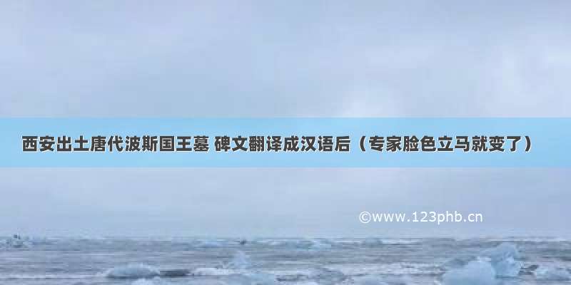 西安出土唐代波斯国王墓 碑文翻译成汉语后（专家脸色立马就变了）