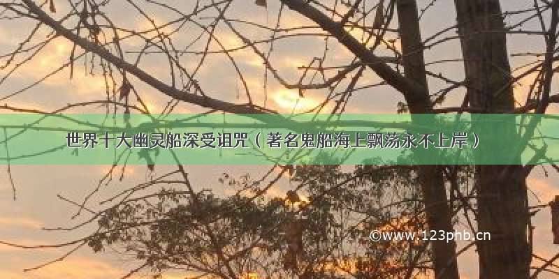 世界十大幽灵船深受诅咒（著名鬼船海上飘荡永不上岸）