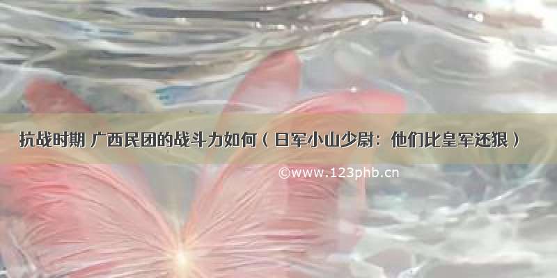 抗战时期 广西民团的战斗力如何（日军小山少尉：他们比皇军还狠）