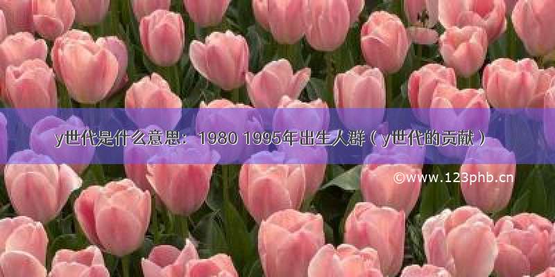 y世代是什么意思：1980 1995年出生人群（y世代的贡献）