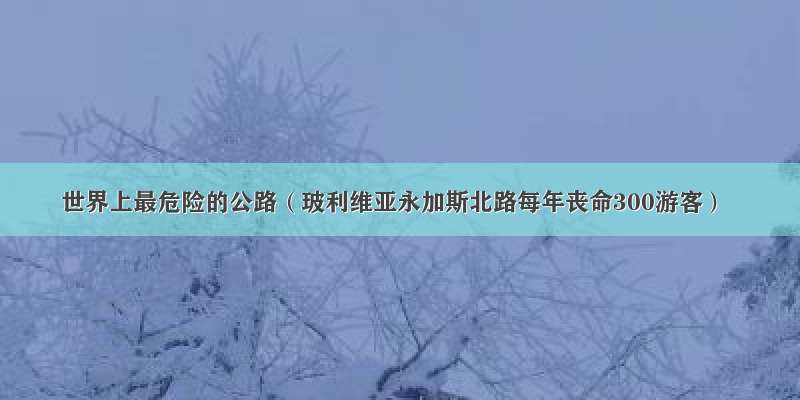 世界上最危险的公路（玻利维亚永加斯北路每年丧命300游客）