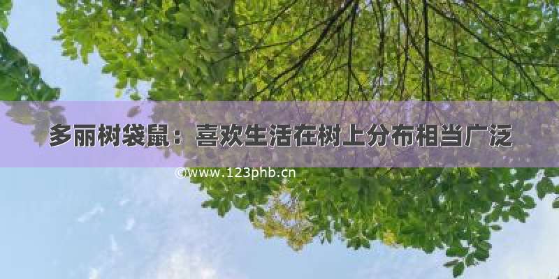 多丽树袋鼠：喜欢生活在树上分布相当广泛