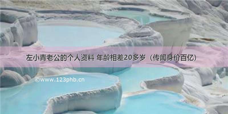 左小青老公的个人资料 年龄相差20多岁（传闻身价百亿）