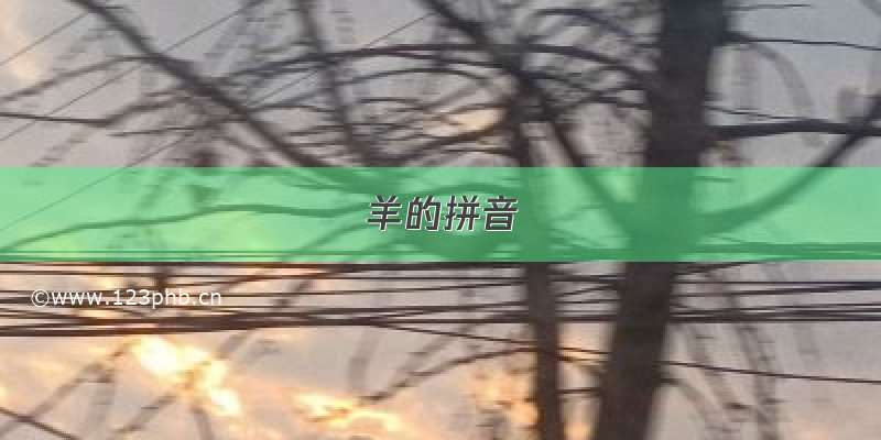 羊的拼音