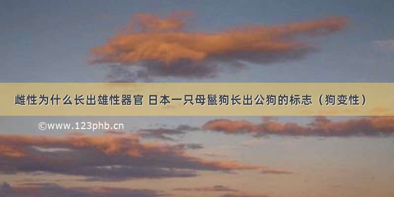 雌性为什么长出雄性器官 日本一只母鬣狗长出公狗的标志（狗变性）