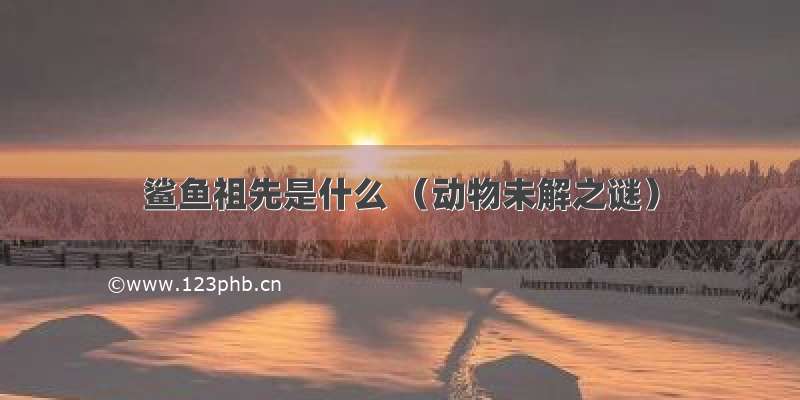 鲨鱼祖先是什么 （动物未解之谜）