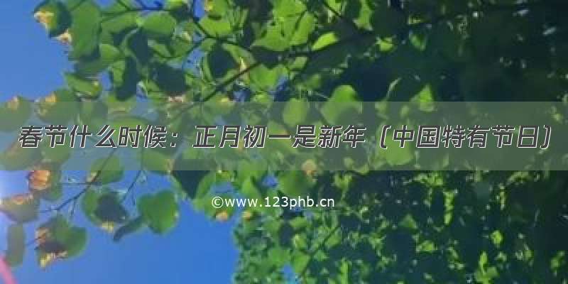 春节什么时候：正月初一是新年（中国特有节日）