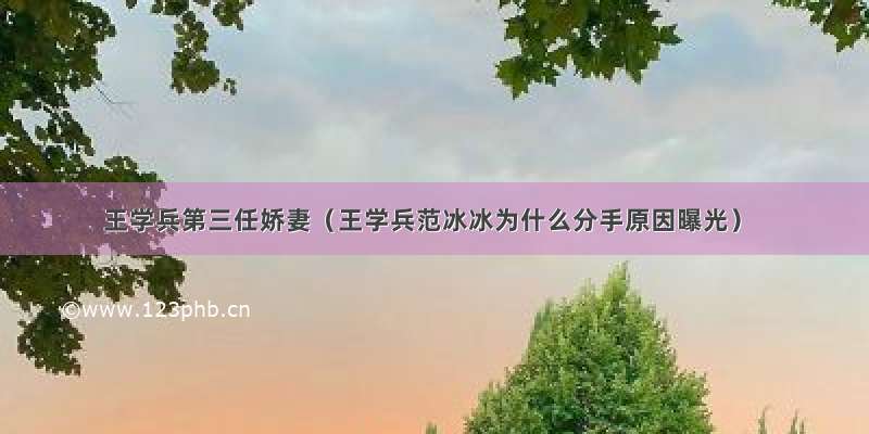 王学兵第三任娇妻（王学兵范冰冰为什么分手原因曝光）