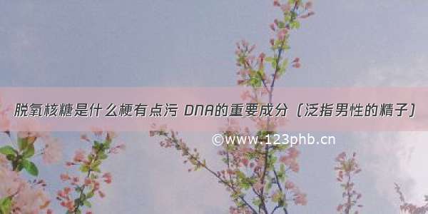 脱氧核糖是什么梗有点污 DNA的重要成分（泛指男性的精子）