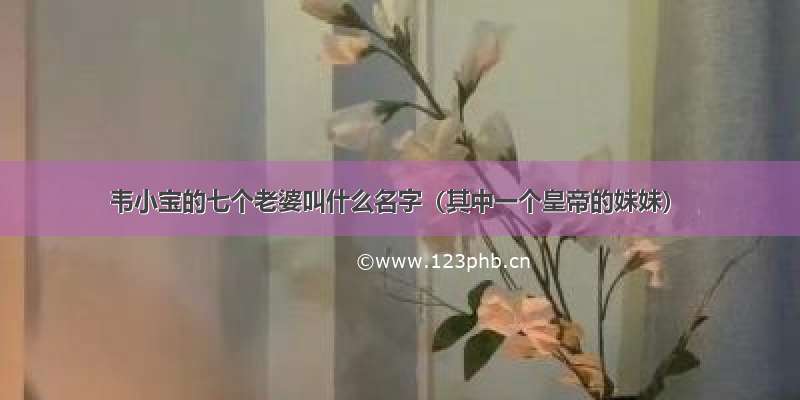 韦小宝的七个老婆叫什么名字（其中一个皇帝的妹妹）