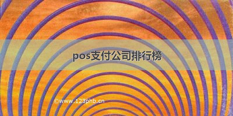 pos支付公司排行榜