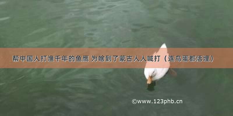 帮中国人打渔千年的鱼鹰 为啥到了蒙古人人喊打（连鸟蛋都活埋）