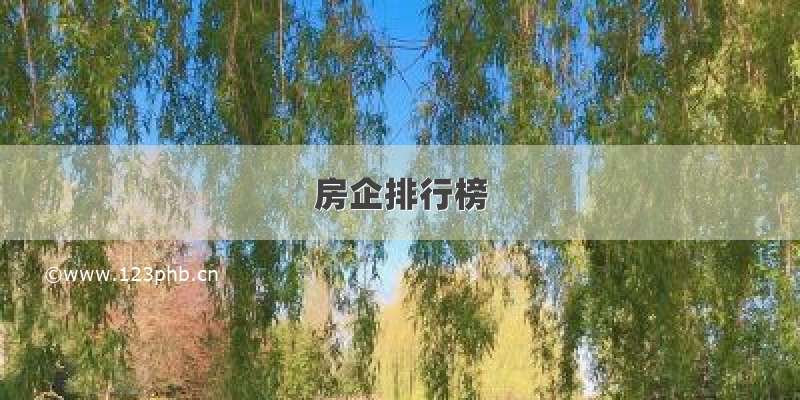 房企排行榜