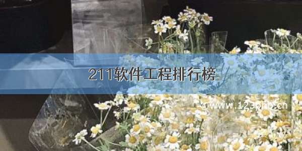 211软件工程排行榜