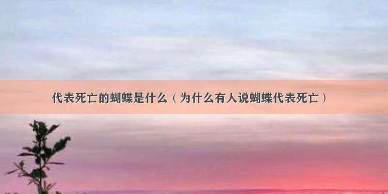 代表死亡的蝴蝶是什么（为什么有人说蝴蝶代表死亡）