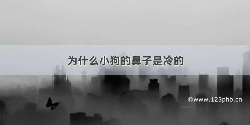 为什么小狗的鼻子是冷的