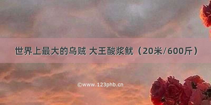 世界上最大的乌贼 大王酸浆鱿（20米/600斤）