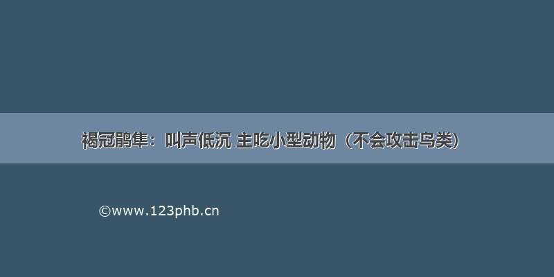 褐冠鹃隼：叫声低沉 主吃小型动物（不会攻击鸟类）