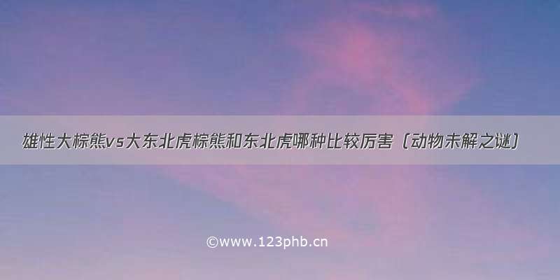 雄性大棕熊vs大东北虎棕熊和东北虎哪种比较厉害（动物未解之谜）