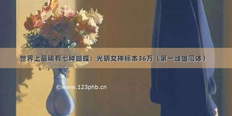 世界上最稀有七种蝴蝶：光明女神标本36万（第一雌雄同体）