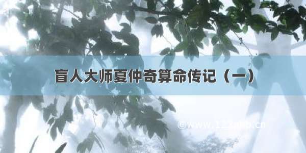 盲人大师夏仲奇算命传记（一）