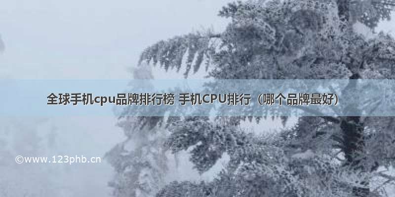 全球手机cpu品牌排行榜 手机CPU排行（哪个品牌最好）