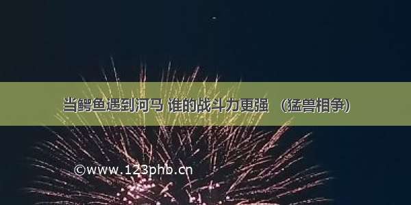 当鳄鱼遇到河马 谁的战斗力更强 （猛兽相争）