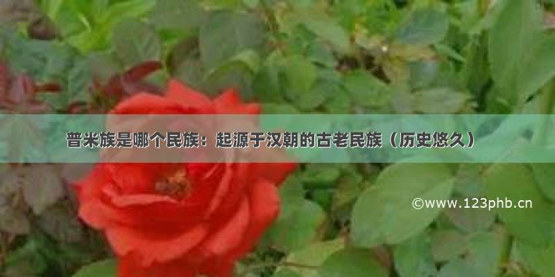 普米族是哪个民族：起源于汉朝的古老民族（历史悠久）