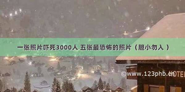 一张照片吓死3000人 五张最恐怖的照片（胆小勿入 ）