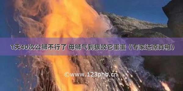 1天40次公狮不行了 母狮气到狠咬它蛋蛋（专家还原真相）