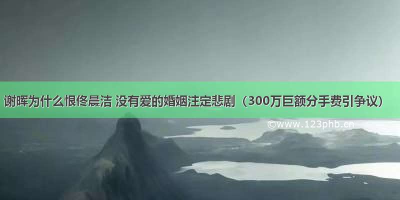 谢晖为什么恨佟晨洁 没有爱的婚姻注定悲剧（300万巨额分手费引争议）