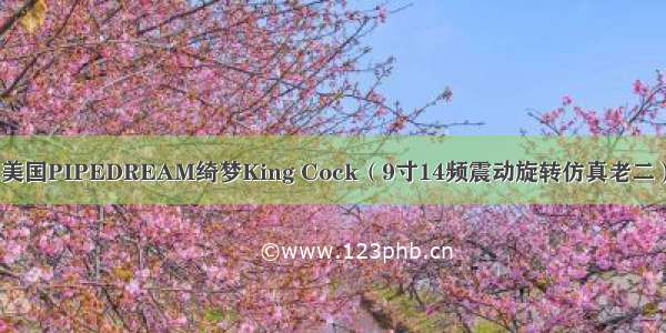 美国PIPEDREAM绮梦King Cock（9寸14频震动旋转仿真老二）