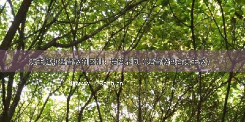 天主教和基督教的区别：结构不同（基督教包含天主教）