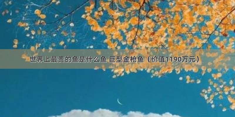 世界上最贵的鱼是什么鱼 巨型金枪鱼（价值1190万元）