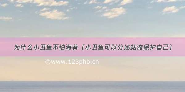 为什么小丑鱼不怕海葵（小丑鱼可以分泌粘液保护自己）