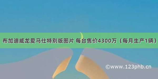 布加迪威龙爱马仕特别版图片 每台售价4300万（每月生产1辆）