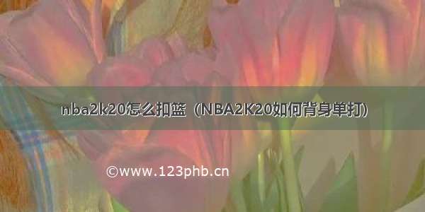 nba2k20怎么扣篮（NBA2K20如何背身单打）