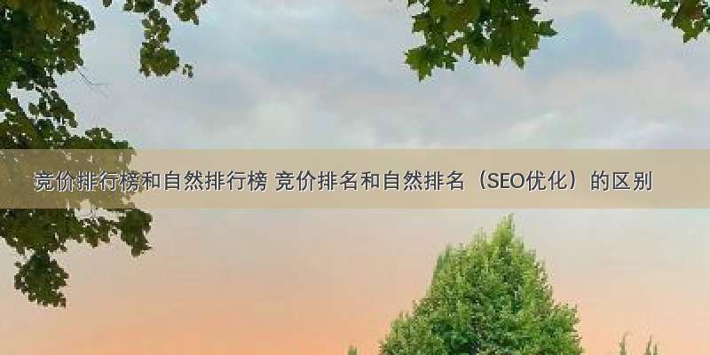 竞价排行榜和自然排行榜 竞价排名和自然排名（SEO优化）的区别