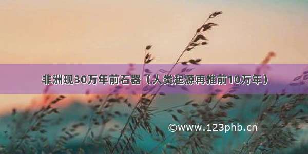 非洲现30万年前石器（人类起源再推前10万年）