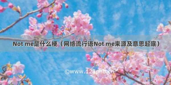 Not me是什么梗（网络流行语Not me来源及意思起底）