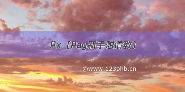 Px（Pay新手想请教）