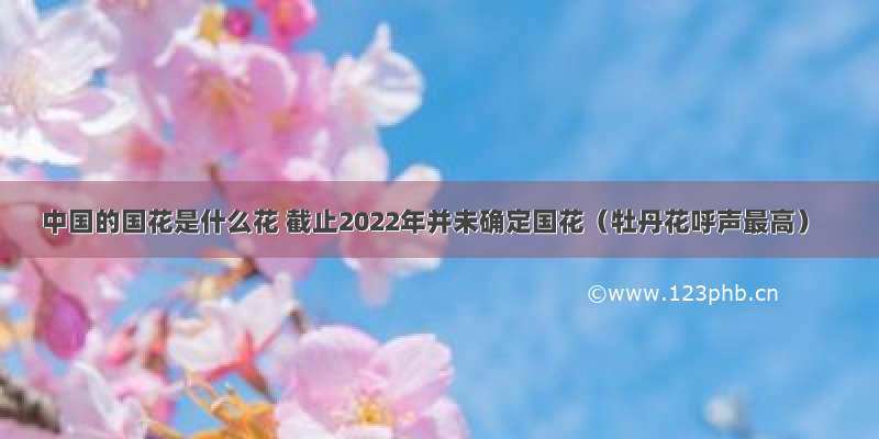 中国的国花是什么花 截止2022年并未确定国花（牡丹花呼声最高）