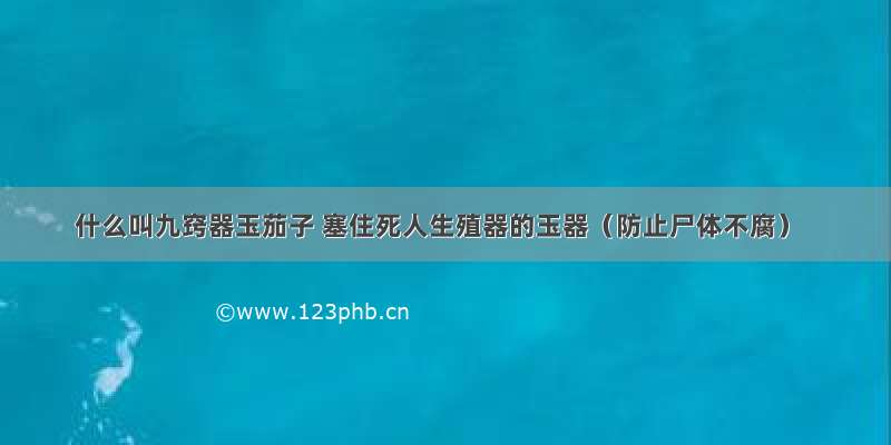 什么叫九窍器玉茄子 塞住死人生殖器的玉器（防止尸体不腐）