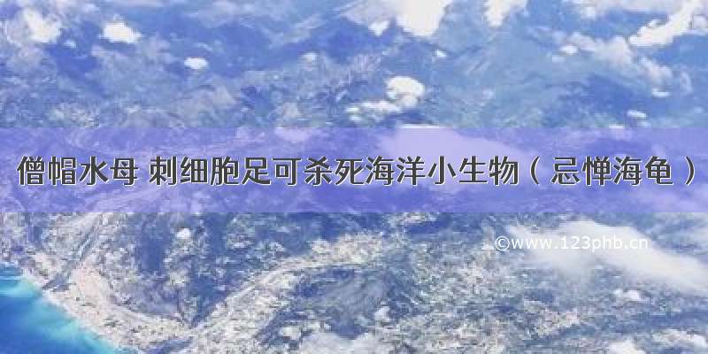 僧帽水母 刺细胞足可杀死海洋小生物（忌惮海龟）