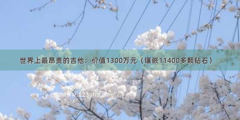 世界上最昂贵的吉他：价值1300万元（镶嵌11400多颗钻石）