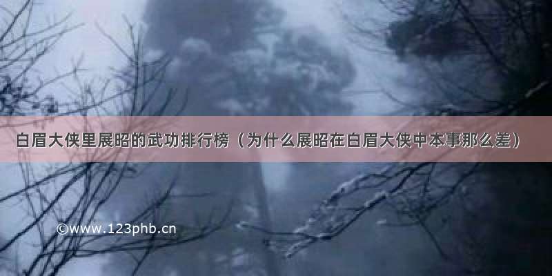 白眉大侠里展昭的武功排行榜（为什么展昭在白眉大侠中本事那么差）