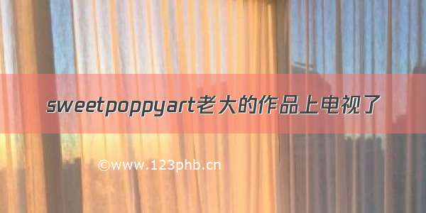 sweetpoppyart老大的作品上电视了