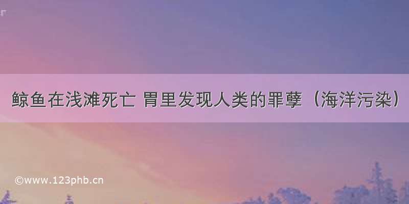 鲸鱼在浅滩死亡 胃里发现人类的罪孽（海洋污染）