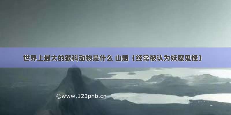 世界上最大的猴科动物是什么 山魈（经常被认为妖魔鬼怪）